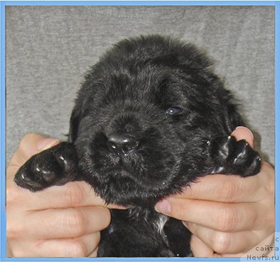 Фотография № 228494