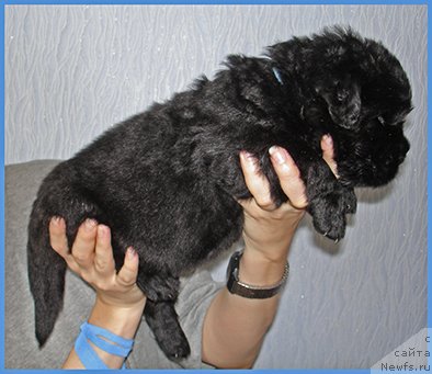 Фотография № 228495