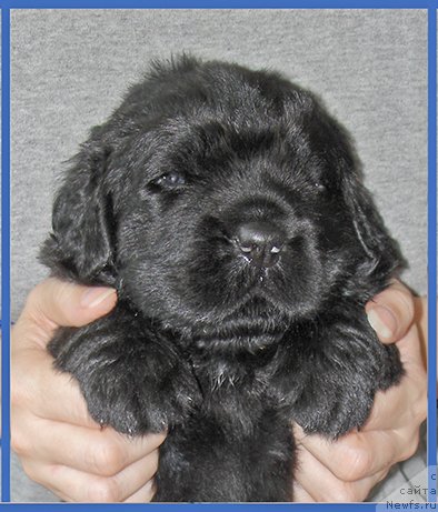 Фотография № 228496