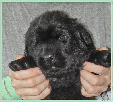 Фотография № 228498