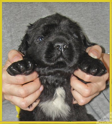 Фотография № 228500