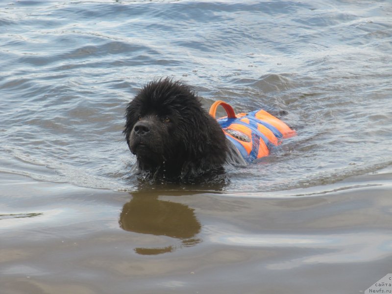 Фотография № 228510