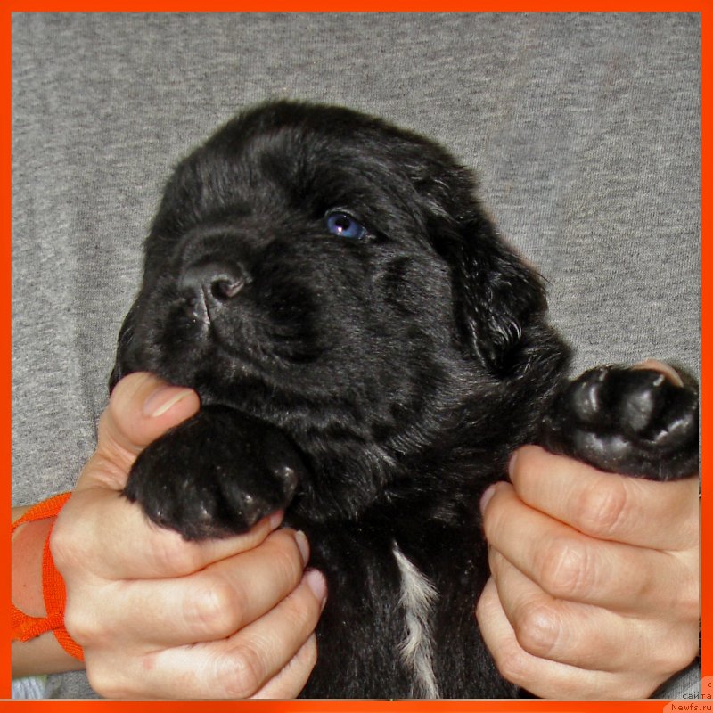 Фотография № 228533