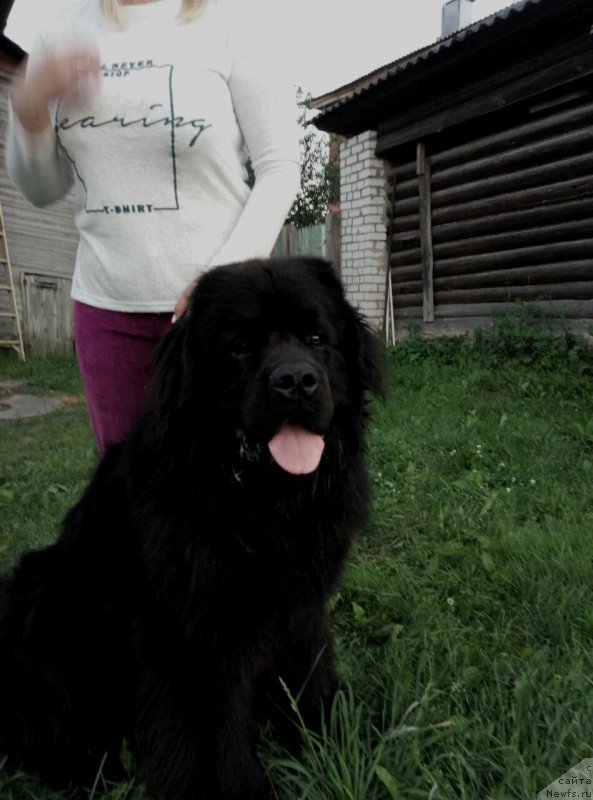 Фотография № 228551