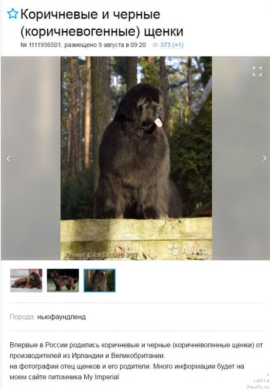 Фотография № 228557