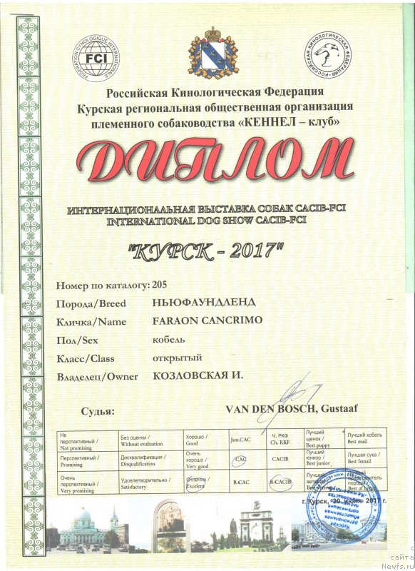 Фото: ньюфаундленд Faraon Cancrimo