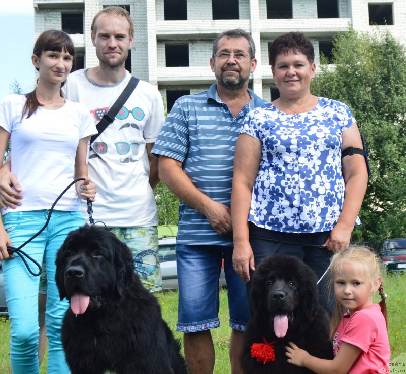 Фото: ньюфаундленд Черный Балу Лорд-Канцлер (Cherniy Balu Lord-Kantsler), ньюфаундленд Инвайтинг Лук оф Лав (Inviting Look of Love), Екатерина Иванова, Вадим Вишневский