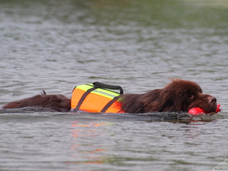 Фотография № 228571