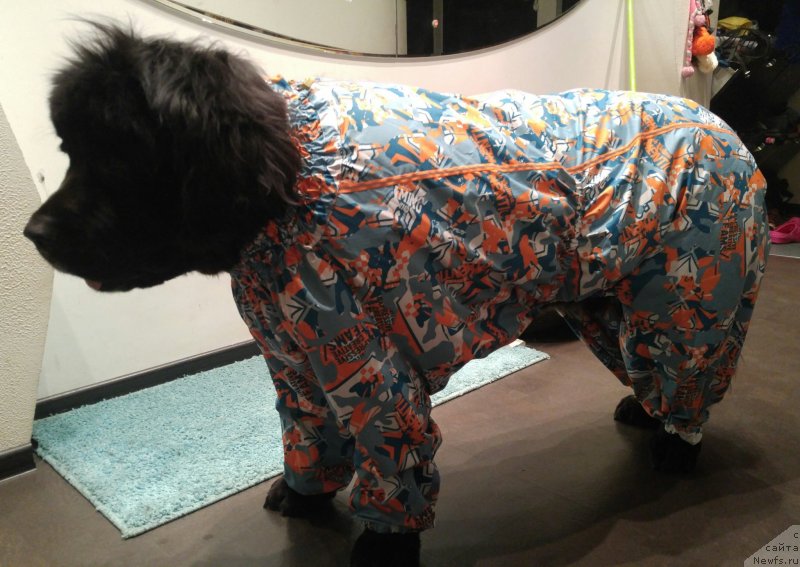 Фотография № 228577