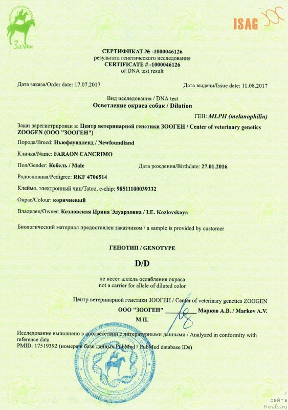 Фото: ньюфаундленд Faraon Cancrimo