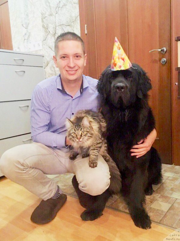 Фотография № 228605