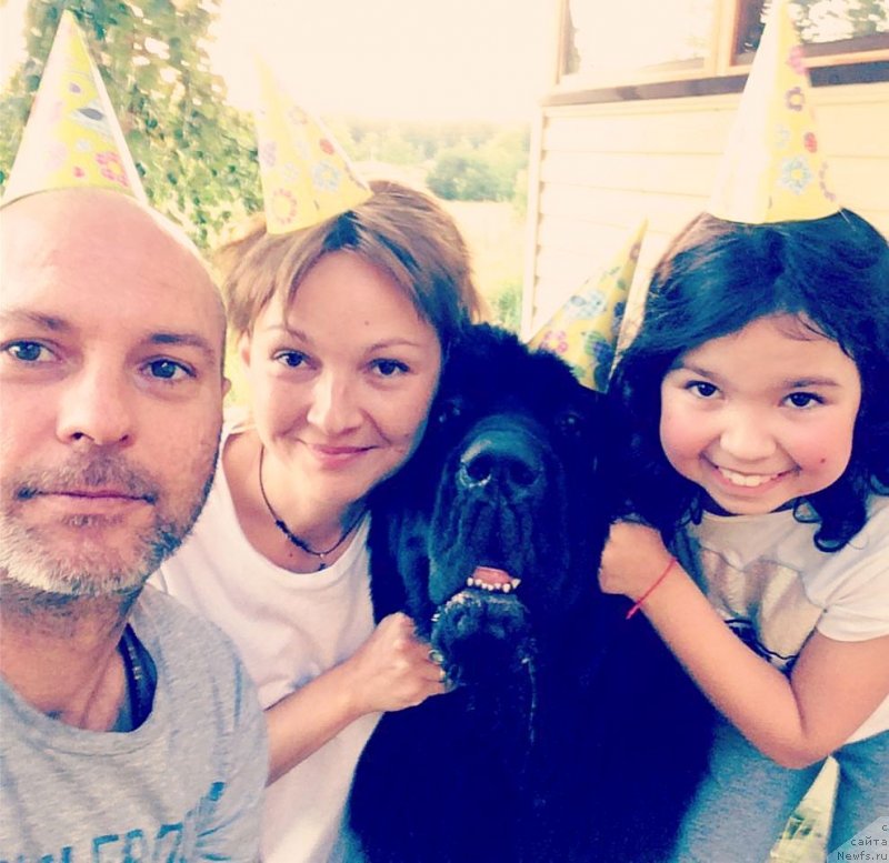 Фотография № 228606