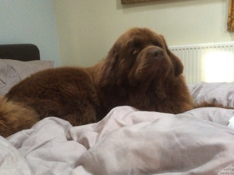 Фотография № 228610