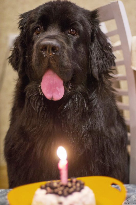 Фотография № 228611