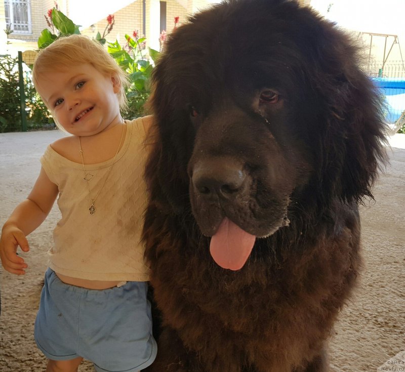 Фотография № 228621