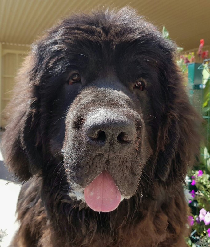 Фотография № 228622