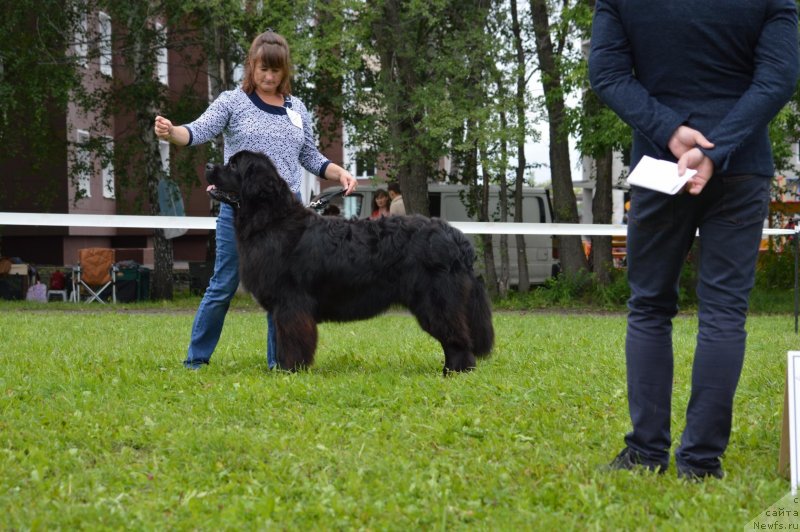 Фотография № 228626