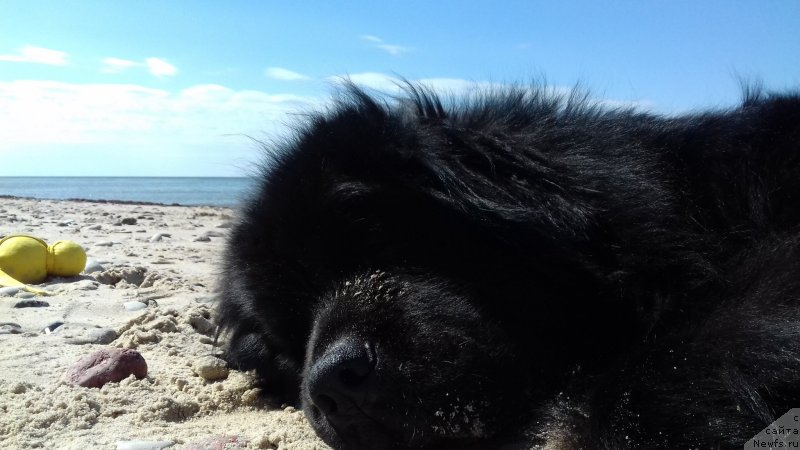 Фотография № 228632