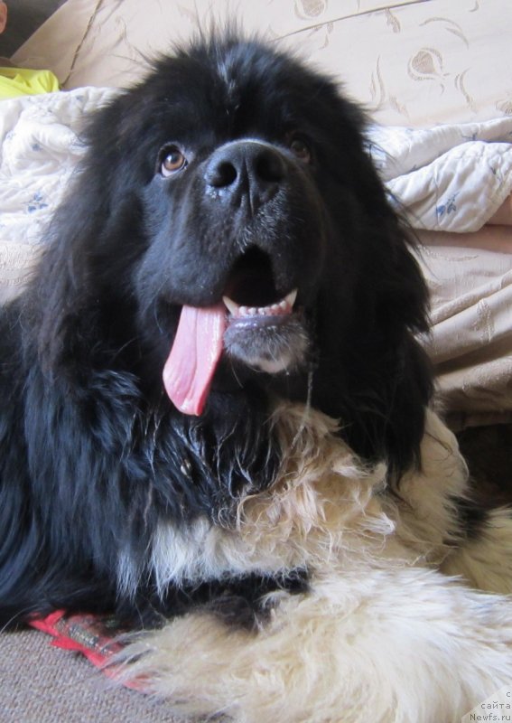 Фотография № 228645