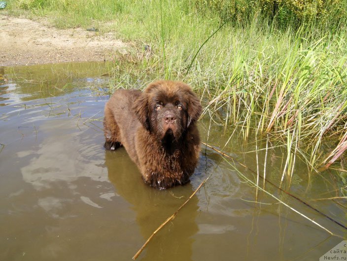 Фотография № 228667