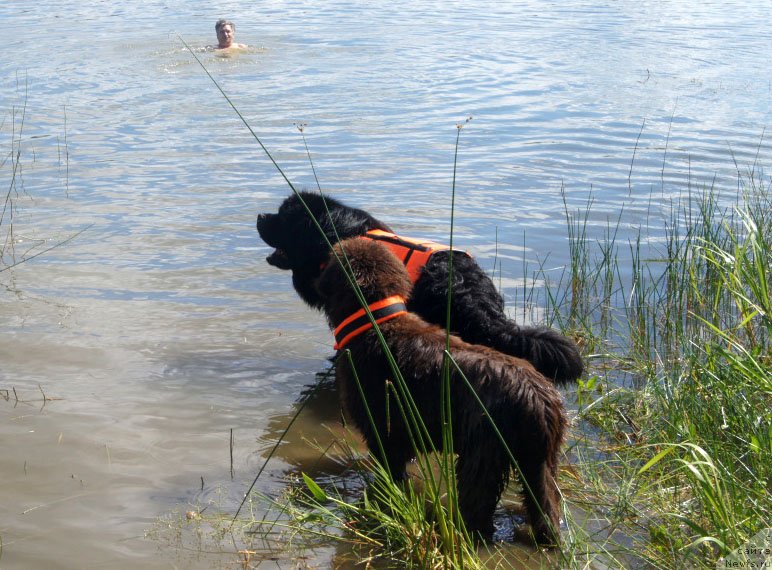 Фотография № 228670