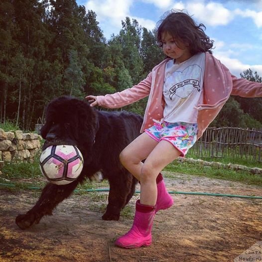 Фотография № 228686