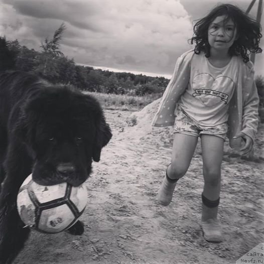 Фотография № 228687