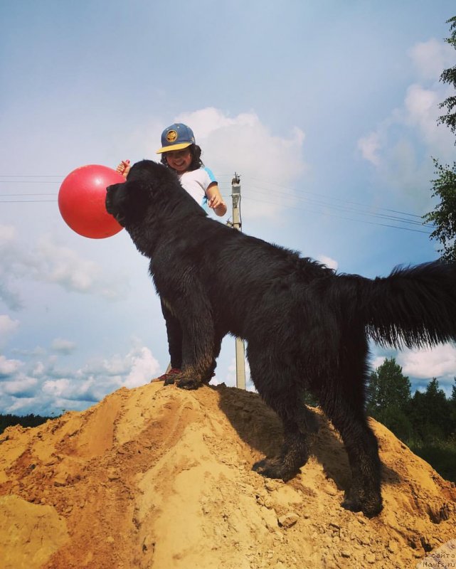 Фотография № 228688