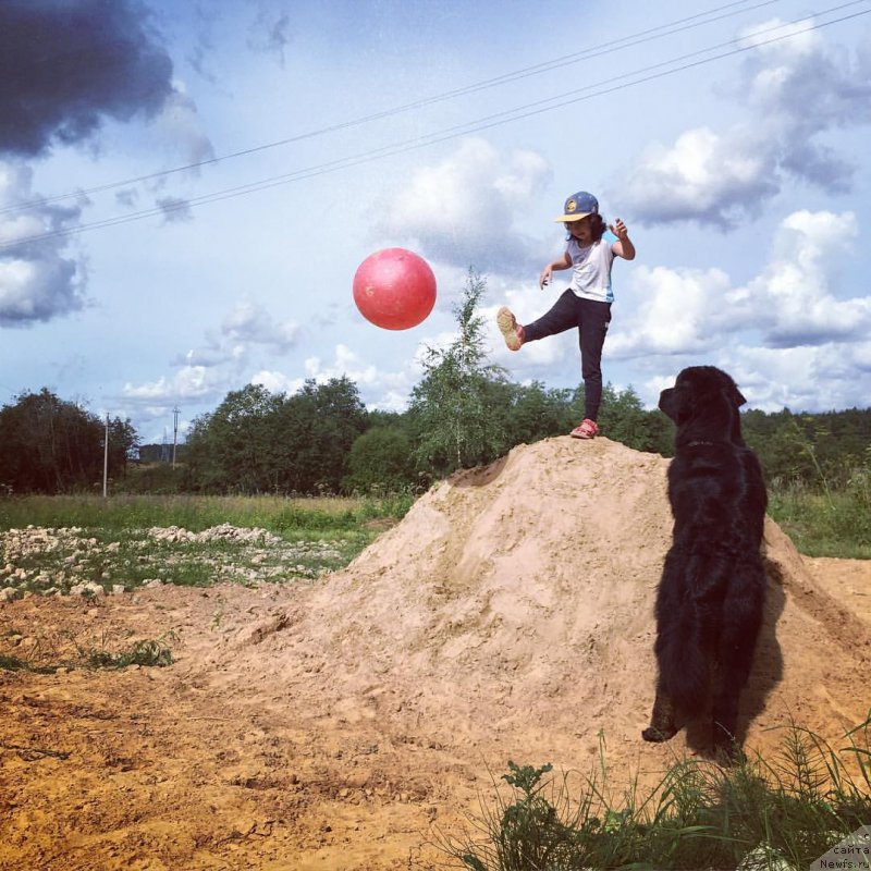 Фотография № 228689