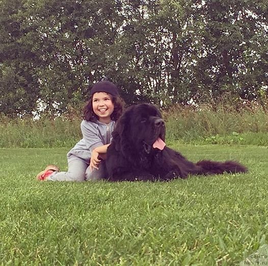 Фотография № 228690