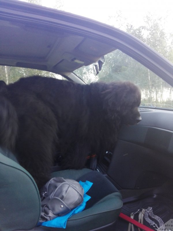 Фотография № 228711