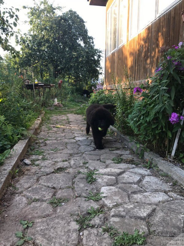 Фотография № 228717