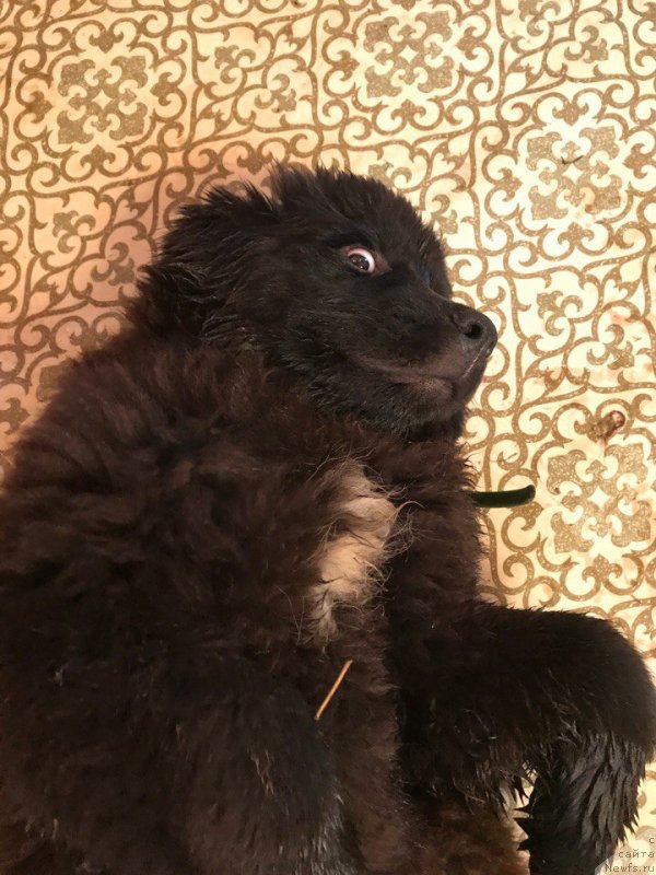 Фотография № 228723