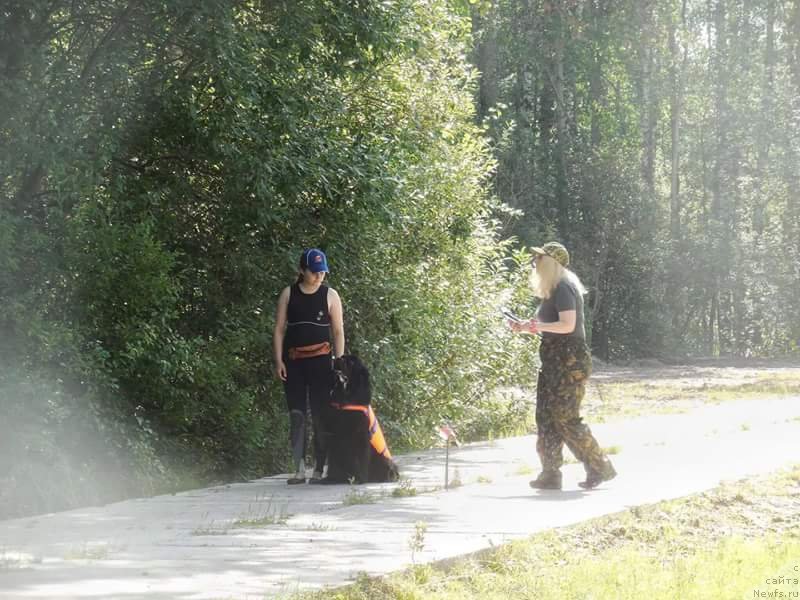 Фотография № 228728