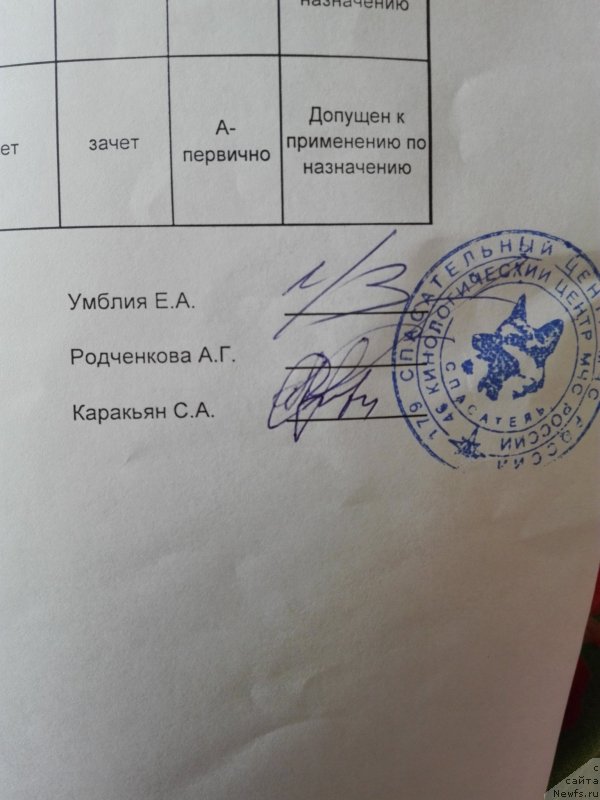 Фото: ньюфаундленд Черный Чанк с Берега Дона (Chernyj Chank s Berega Dona)