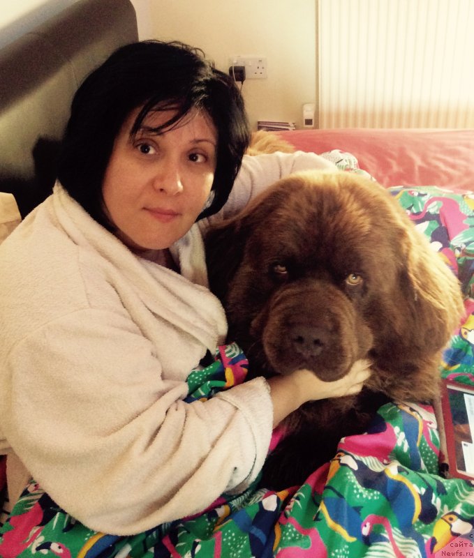 Фотография № 228751