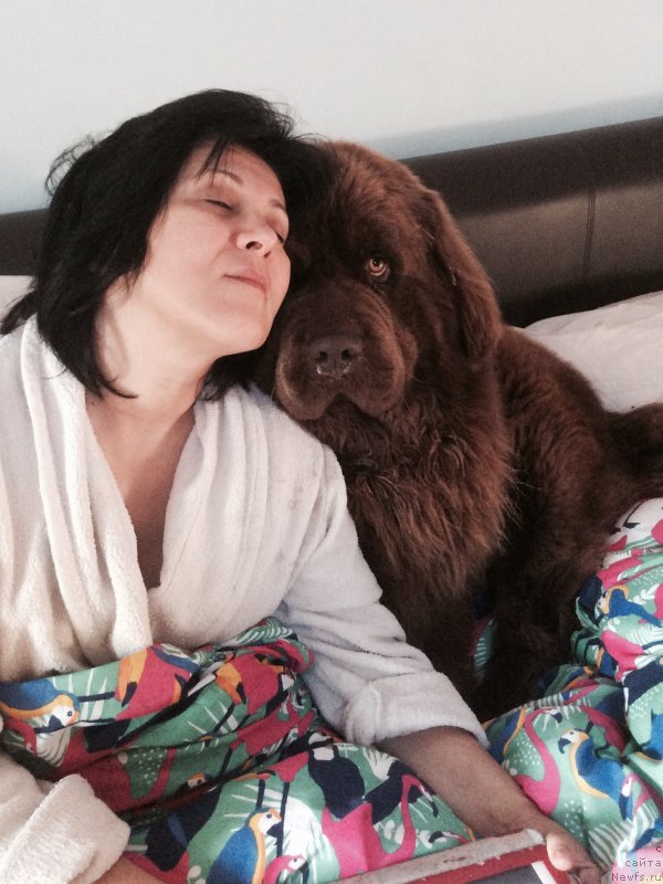 Фотография № 228752