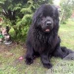 Фотография № 228753