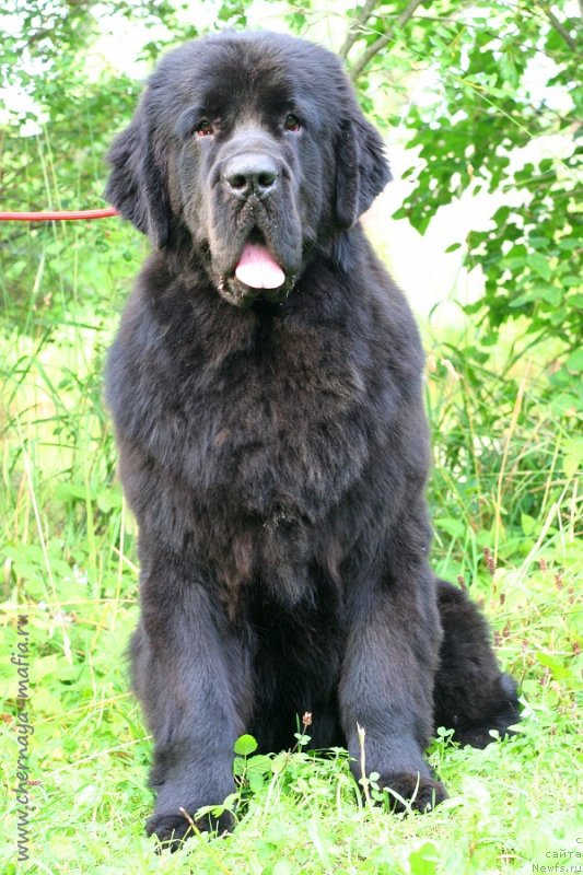 Фотография № 228754