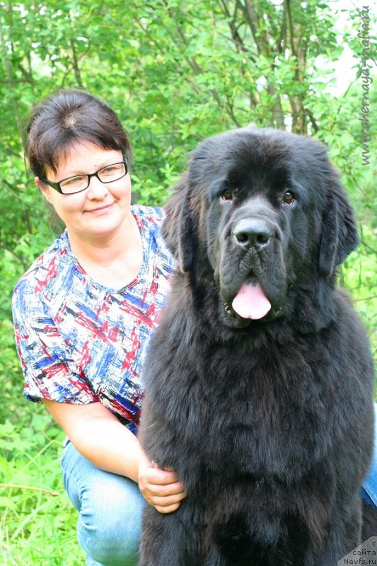 Фотография № 228755