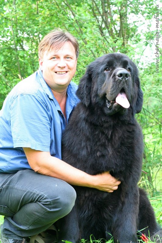 Фотография № 228756