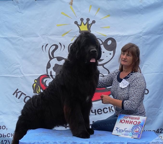 Фотография № 228776