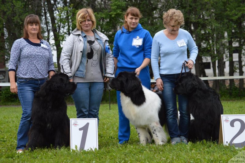 Фотография № 228784