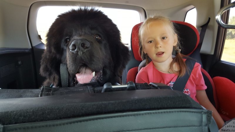 Фотография № 228802