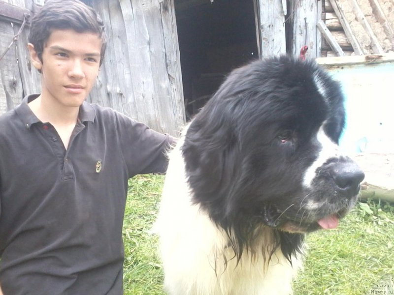 Фотография № 228803