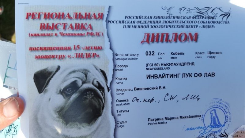 Фотография № 228805