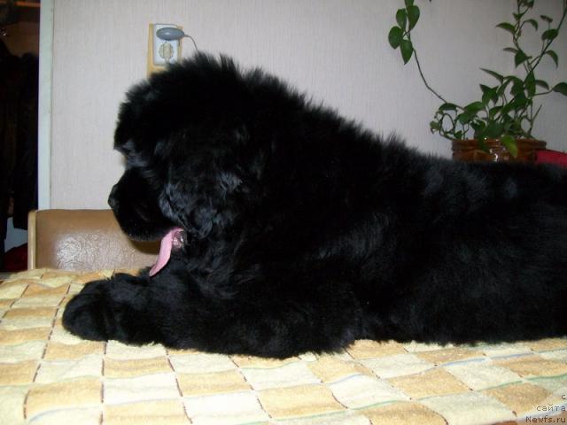 Фото: [d8365] Fortuna of Giant's Island