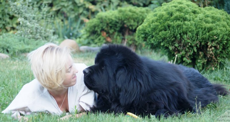 Фотография № 228825