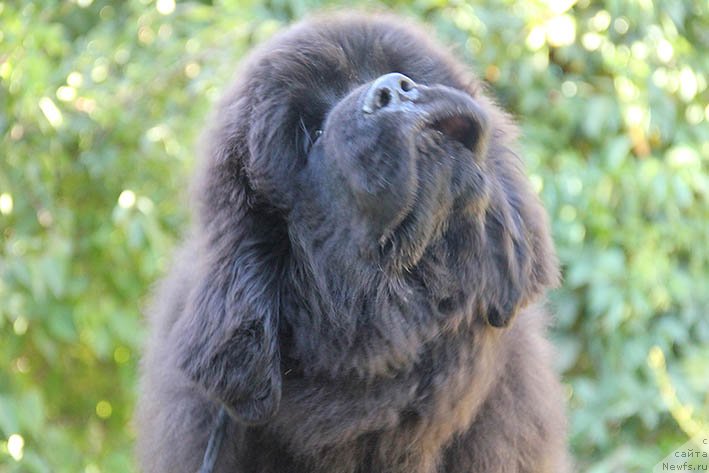 Фотография № 228827