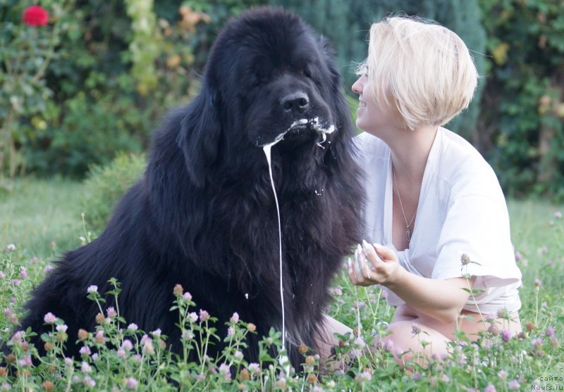 Фотография № 228830